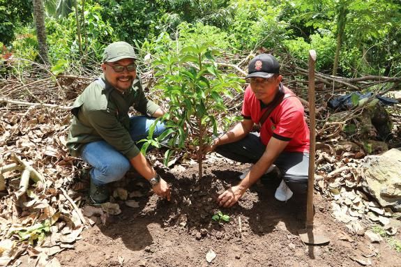 IDEP Tree planting at watershed